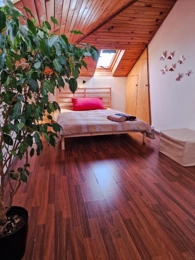 Beautiful Aparment Next To The Border 4 Room Saint-Louis  Buitenkant foto